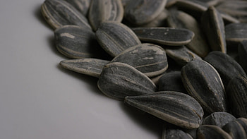 Sunflower seeds stock video, footage, Culinary inspiration, Visual delights HD wallpaper