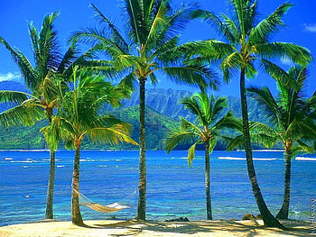 Beach, cool, beaches-around-the-world HD wallpaper