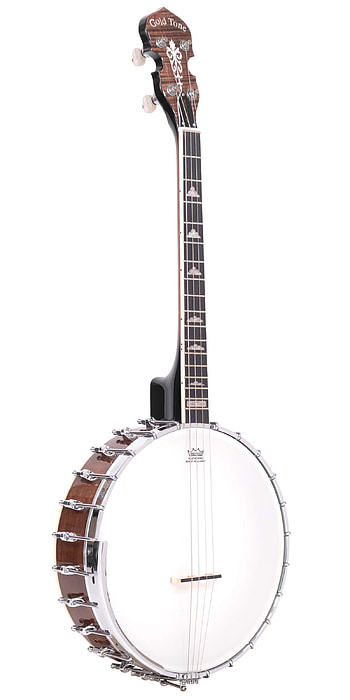 IT 250, Irish tenor banjo, Gold Tone Folk Instruments, Banjo music HD phone wallpaper