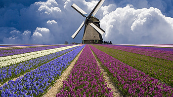 Windmill Computer , Backgrounds | | ID ... | Windmills | Pinterest HD wallpaper