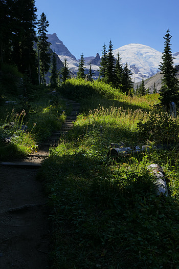 Nature, Trees, Grass, Mountains, Path HD phone wallpaper