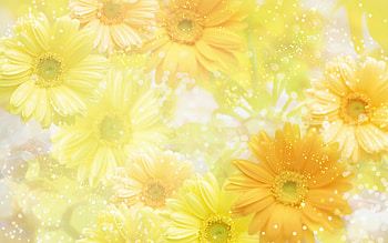 Plants, Flowers, Background HD wallpaper