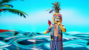 The Masked Singer, New masks, Block party, Fandom wiki HD wallpaper