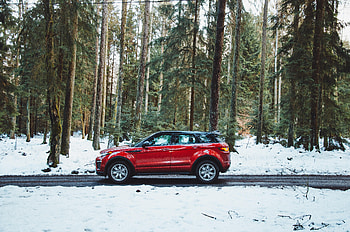 Cars, Road, Forest, Car, Side View, Snow Covered, Snowbound HD wallpaper