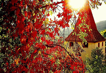 fantasy place, plants, house, nice, leaves, fantasy, abstract, red, trees, nature HD wallpaper