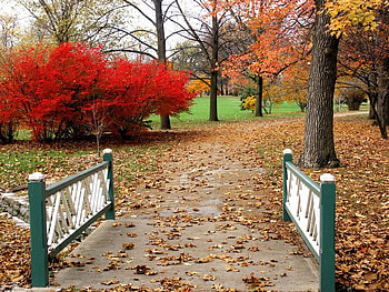 Park, other, beautiful, nature HD wallpaper