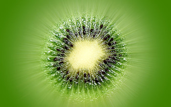 Fruits, Food, Kiwi HD wallpaper