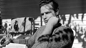 Ken Wilocek, Marlon Brando HD wallpaper