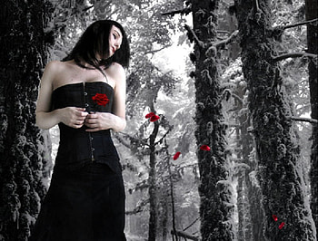 Thoughts Like Petals ...., rose, fantasy, petals, snow, trees, goth, female HD wallpaper