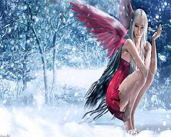 Snow Fairy, winter, fairy, black, snow, red, forest HD wallpaper