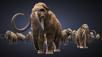 10 mammoth , Top mammoth, mammoth backgrounds, Mammoth HD wallpaper