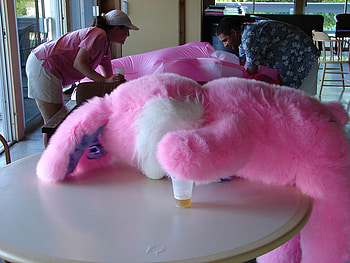 Passed out bunny, bunny, passed out, pink, drunk HD wallpaper