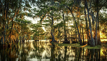 Rhythms of the Bayou, Melissa M. Martin's, Simple Intimate Louisiana Cooking HD wallpaper