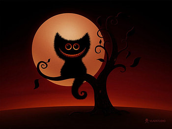 HALLOWEEN, night, orange moon, cat HD wallpaper