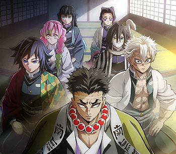 Demon Slayer Season 4, Anime, Demon Slayer: Kimetsu no Yaiba, Demon Slayer: Kimetsu no Yaiba - Hashira Training Arc HD wallpaper