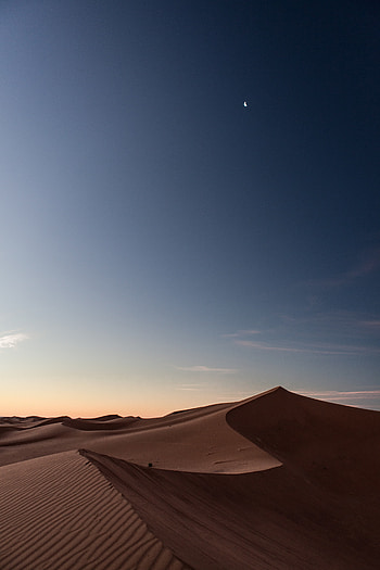 Sun Night, sky, horizon, Star HD phone wallpaper