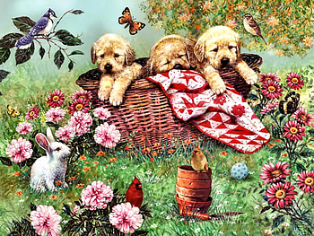 Labs in a Basket - Dogs FC, animal, dogs, puppies, blue jay, basket, butterflies, labradors, sparrow, painting, rabbit, cardinals, art, beautiful, artwork, wide screen, pets, blanket, flowers, canine HD wallpaper