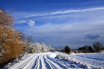 Nature, Trees, Sky, Clouds, Snow, Road, Netherlands, Clear, I See HD wallpaper
