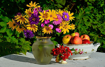 ✽✽✽, Apples, Asters, Bouquet, Berries HD wallpaper
