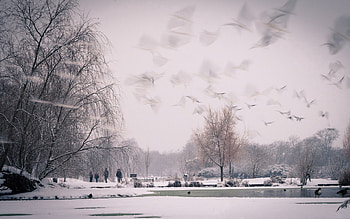 Nature, Sky, Snow HD wallpaper