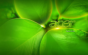 so beautiful leaves, green looking, green leaves, green paradise HD wallpaper