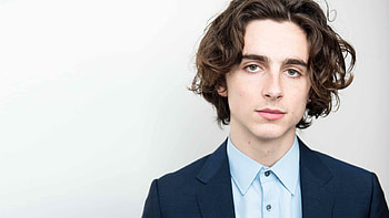 Timothee Chalamet, Actor , Celebs HD wallpaper
