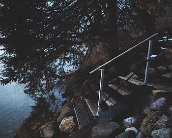 Nature, Rivers, Trees, Shore, Bank, Steps HD wallpaper
