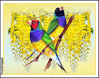 LOVELY BIRDS AND FLOWERS, BIRDS, ART, FLOWERS, ABSTRACT HD wallpaper