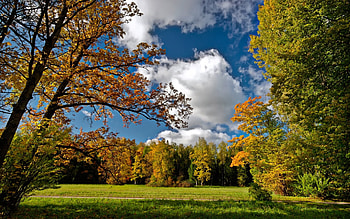 Landscape, Trees, Autumn HD wallpaper