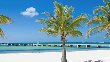 Key West vibes, Nightlife hotspot, Sunset views, Island adventures HD wallpaper