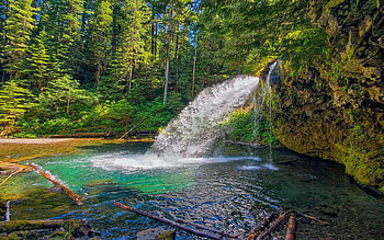 Gifford Pinchot National Forest, river, washington, trees, cascade, usa HD wallpaper