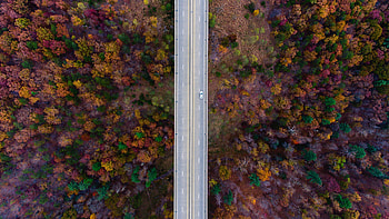Road, highway, trees, autumn, aerial view HD wallpaper