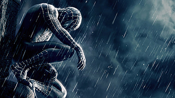 Black Spider-Man, 1440p resolution, and HD wallpaper