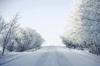 Winter, Nature, Trees, Snow, Road, Snow Covered, Snowbound HD wallpaper