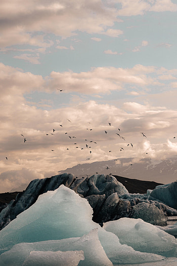 Nature, Birds, Mountains, Ice, Rocks, Ice Floes HD phone wallpaper