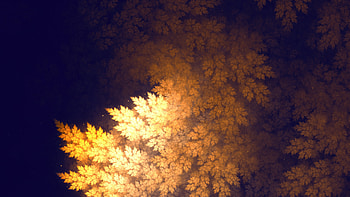 Tree Leaves , tree, leaves, nature HD wallpaper