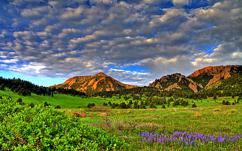 Boulder Spring Wildflowers, Colorado, hills, landscape, clouds, sky, usa HD wallpaper