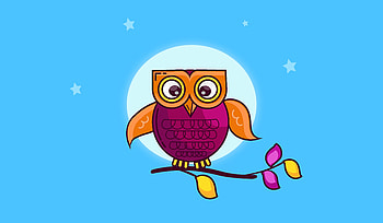 Bright owl, tree branch, moon HD wallpaper