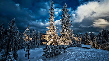 Winter in Switzerland, night, snow, clouds, landscape, trees, sky, mountains, cabin HD wallpaper