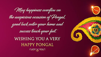 May Happiness Overflow On The Auspicious Occasion Of Pongal Good Luck Enter Your Home And Success Touch Your Feet Pongal HD wallpaper