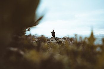 Nature, Miscellanea, Miscellaneous, Sadness, Human, Person, Loneliness, Sorrow HD wallpaper