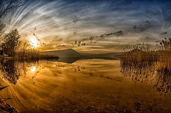 Reflecting Golden Lake, reflecting, clouds, trees, nature, lake, sunset HD wallpaper