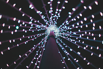 Lights, Dark, Glare, Illumination, Backlight, Light Bulbs, Illuminations HD wallpaper