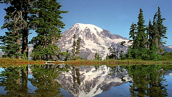mt. rainier reflected in tahomas lake, trees, reflection, lake, mountain HD wallpaper
