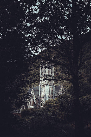 Holidays, Architecture, Lock, Forest, Branches HD phone wallpaper