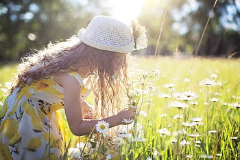 Little girl enjoys picking flowers in a sunlit meadow, embodying pure joy and innocence. HD wallpaper