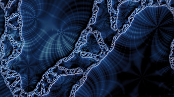 Trippy Psychedelic Fractal, trippy, psychedelic, aesthetic, Abstract, fractal HD wallpaper