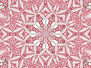 Kaleidoscope of White Leaves, pink, white, leaves, kaleidoscope HD wallpaper