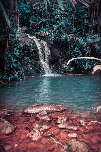 Nature, Stones, Waterfall, Forest, Spray, Tropical, Creek, Brook, Jungle HD phone wallpaper