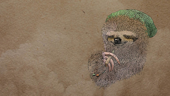 I made a from the stoner sloth . HD wallpaper